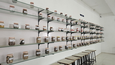 AYURVEDIC PHARMACOLOGY